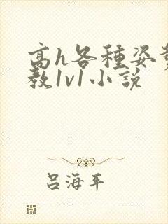 高h各种姿势调教1v1小说