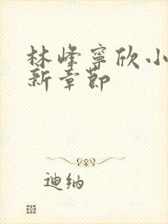 林峰宁欣小说最新章节