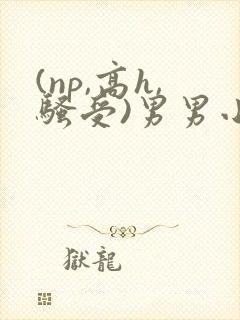 (np,高h,骚受)男男小说