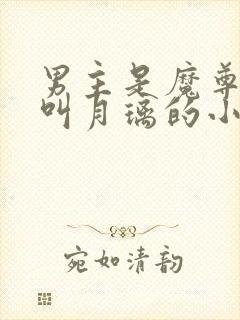 男主是魔尊女主叫月璃的小说