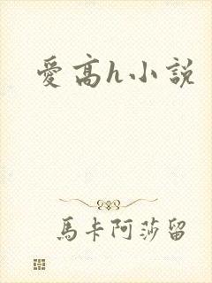 爱高h小说