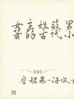 女主姓苏男主姓萧的古代小说