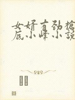 女婿有劲枪枪到底小峰小说