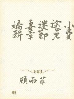娇妻迷途小说最新章节免费阅读