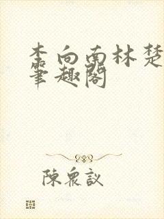 李向南林楚乔新笔趣阁封面