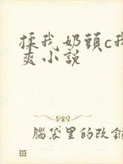 揉我奶头c我好爽小说