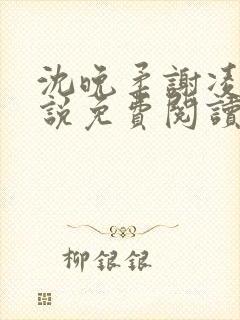 沈晚柔谢凌安小说免费阅读最新章节封面