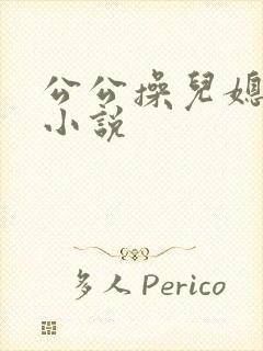 公公操儿媳的逼小说封面