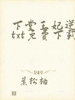 下堂王妃逆袭记txt免费下载