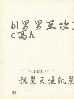 bl男男互攻互c高h