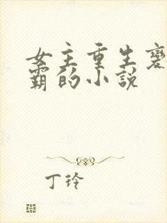 女主重生变成学霸的小说