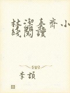 林洁秦齐小说在线阅读