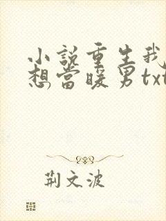 小说重生我真没想当暖男txt封面