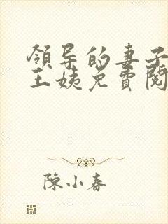 领导的妻子小说王姨免费阅读全文封面