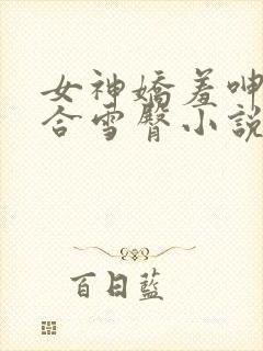 女神娇羞呻吟迎合雪臀小说章节封面