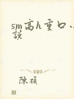sm高h重口小说