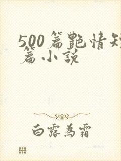 500篇艳情短篇小说