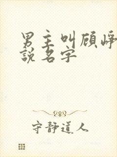 男主叫顾峥的小说名字