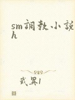 sm调教小说高h