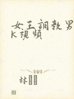 女王调教男奴vk视频