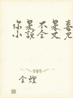 你是不是喜欢我小说全文免费阅读封面