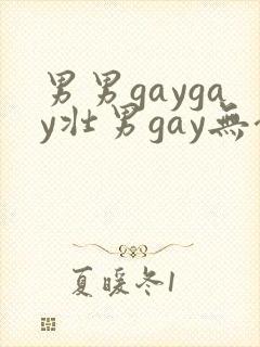 男男gaygay壮男gay无套