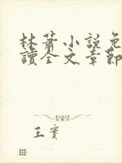 林萧小说免费阅读全文章节封面