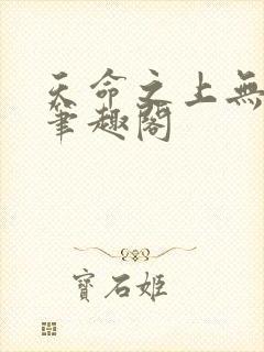 天命之上无弹窗笔趣阁封面