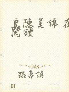 良陈美锦 在线阅读