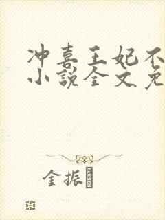 冲喜王妃不好惹小说全文免费阅读