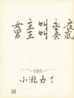 女主叫永夜魔尊男主叫秦岚的小说封面