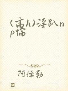 (高h)淫趴np伦封面