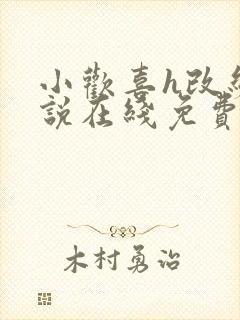 小欢喜h改编小说在线免费阅读小说