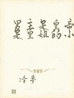 男主是皇帝女主是皇姐的小说