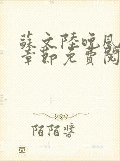 苏文陆晚风最新章节免费阅读笔趣阁封面