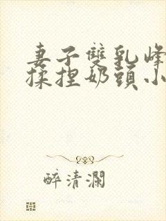 妻子双乳峰摸晃揉捏奶头小说