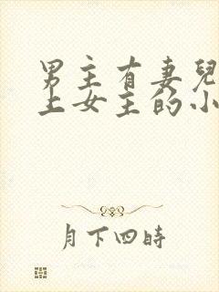 男主有妻儿却爱上女主的小说