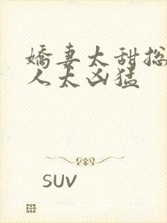 娇妻太甜总裁大人太凶猛