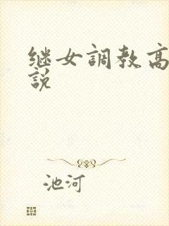 继女调教高h小说
