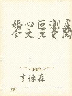 婚心叵测卢丹妮全文免费阅读小说封面