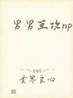 男男互攻np文