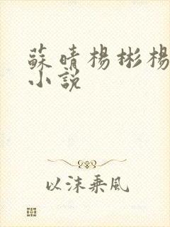 苏晴杨彬杨大明小说