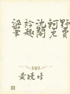 梁衿沈轲野小说笔趣阁免费封面