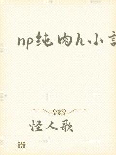 np纯肉h小说