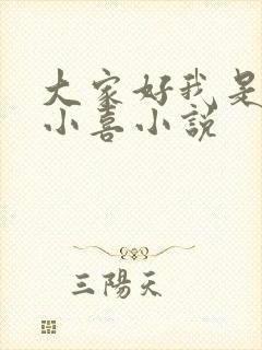 大家好我是叫林小喜小说