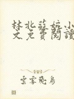 林北苏婉小说全文免费阅读笔趣阁