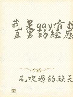 我是gay偷摸直男的经历封面
