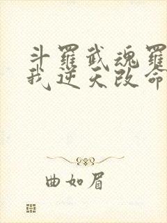 斗罗武魂罗三炮我逆天改命免费阅读