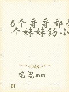 6个哥哥都爱一个妹妹的小说叫什么