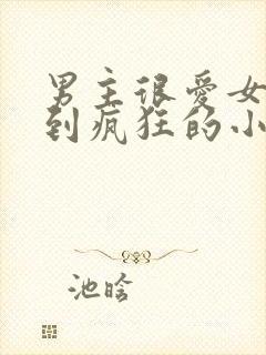 男主很爱女主爱到疯狂的小说现言